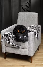 Load image into Gallery viewer, Harry Web The Spider Plush