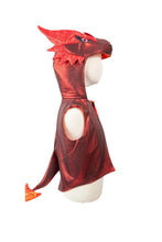 Load image into Gallery viewer, All Day Everyday Dragon Vest