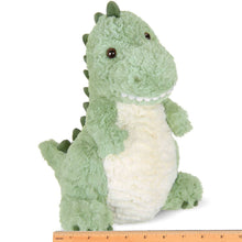 Load image into Gallery viewer, Rex  the T-Rex