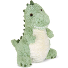 Load image into Gallery viewer, Rex  the T-Rex