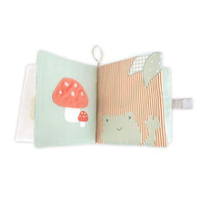 Load image into Gallery viewer, Friends Books - Plush/Play