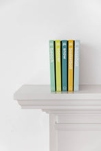 Load image into Gallery viewer, Baseball Baby- Board Book