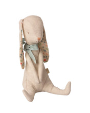 Load image into Gallery viewer, Bunny Albin