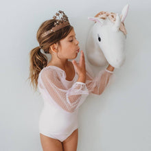Load image into Gallery viewer, Mesh Long Sleeve Leotard - Pink Bliss