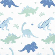 Load image into Gallery viewer, Dinosaur Print Pj Set