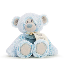 Load image into Gallery viewer, Pocket Prayer Bears
