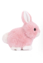 Load image into Gallery viewer, Baby Bunny Plush Toy
