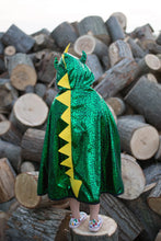 Load image into Gallery viewer, Dragon Knight Reversible Cape