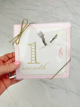 Load image into Gallery viewer, Milestone Cards - Classic Girl
