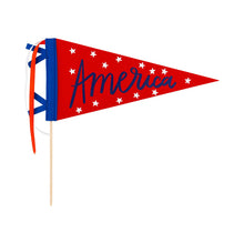 Load image into Gallery viewer, America Felt Pennant Banner
