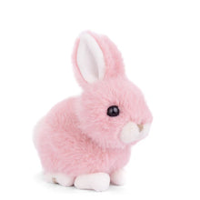 Load image into Gallery viewer, Baby Bunny Plush Toy
