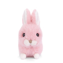 Load image into Gallery viewer, Baby Bunny Plush Toy
