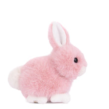 Load image into Gallery viewer, Baby Bunny Plush Toy
