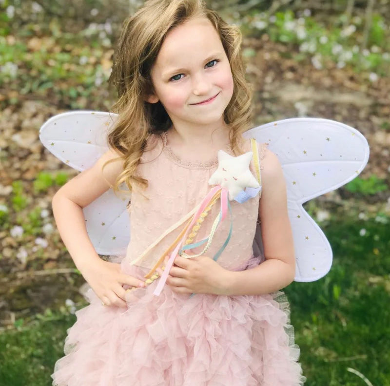 Fairy Wings and Star Magic Wand Dress Up Set