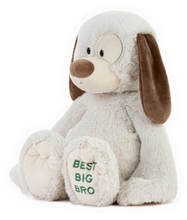 Load image into Gallery viewer, Best Big Brother Plush Dog
