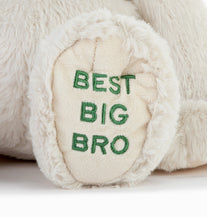 Load image into Gallery viewer, Best Big Brother Plush Dog
