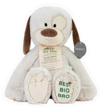 Load image into Gallery viewer, Best Big Brother Plush Dog
