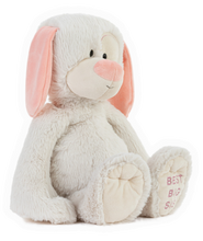 Load image into Gallery viewer, Best Big Sister Plush Dog
