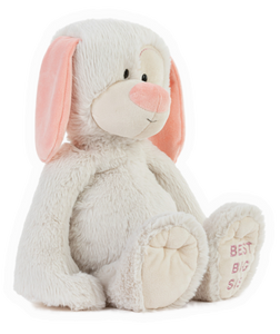 Best Big Sister Plush Dog