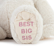 Load image into Gallery viewer, Best Big Sister Plush Dog
