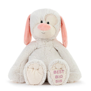 Best Big Sister Plush Dog