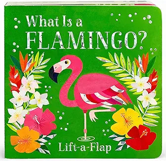What Is A Flamingo