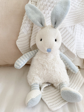 Load image into Gallery viewer, Floppy Bunny
