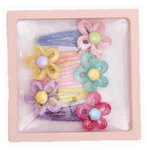 Set of 5 Clips in Gift Box