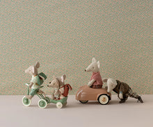 Load image into Gallery viewer, Abri a Tricycle, Mouse
