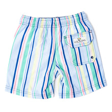 Load image into Gallery viewer, Beach Stripe Swim Trunks

