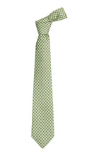Load image into Gallery viewer, Neck Tie- Watercress Gingham
