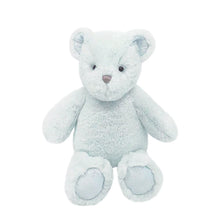 Load image into Gallery viewer, Aston Bear Plush
